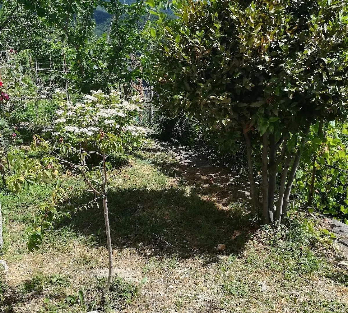 Casa Franca - Apartment In The Countryside With Garden Uscio